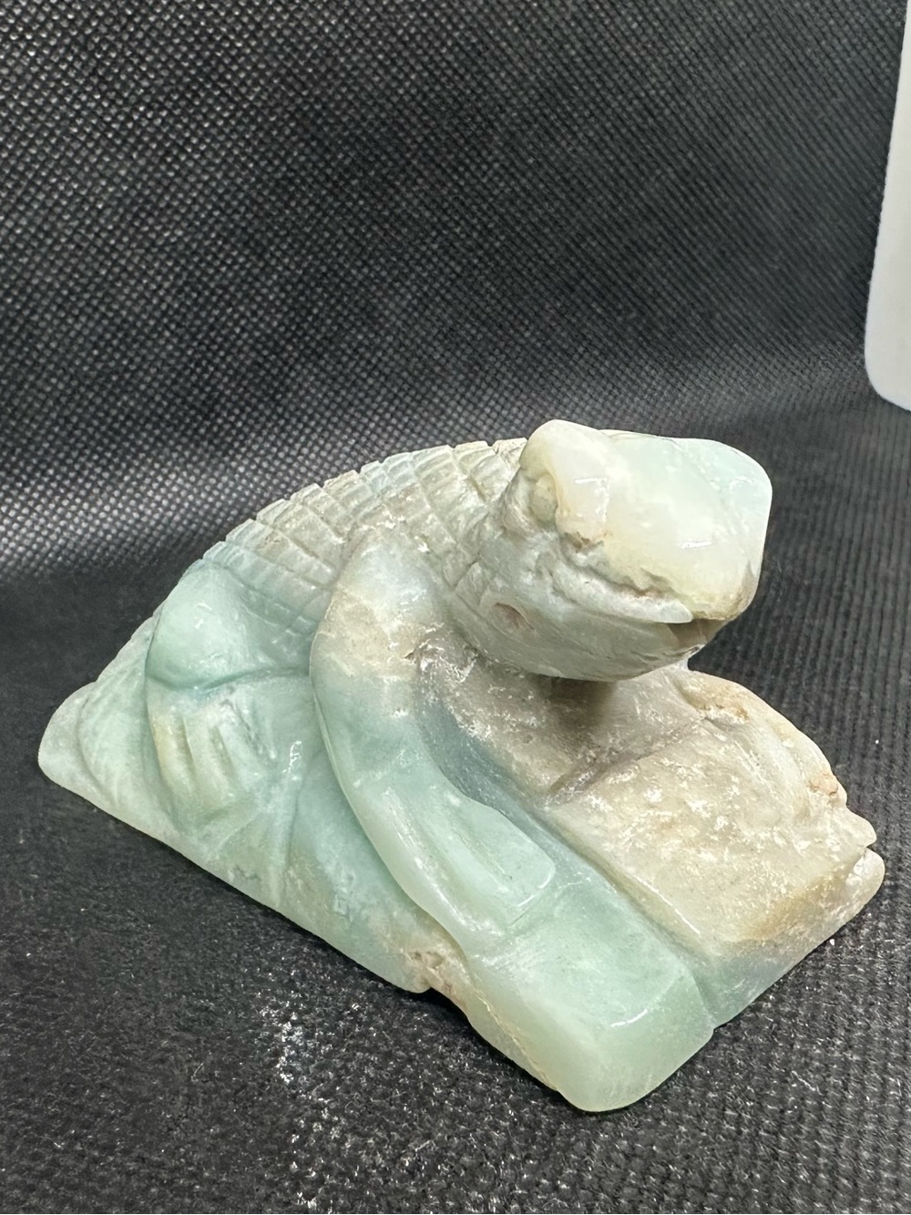 Amazonite lizard - Picture 2 of 6